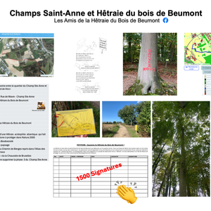 Champs Saint-Anne et Hêtraie du bois de Beumont 